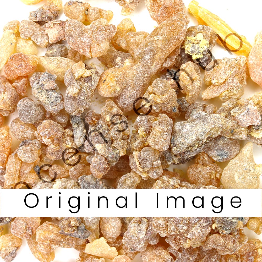 Pure Ganpati spl dhoop 100g Pack