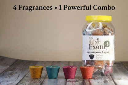 Exotic 4 (Sambrani Cup dhoop 4 in 1)