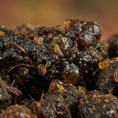 Pure Gugal Dhoop 100g Pack